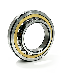 Cylindrical Roller Bearings